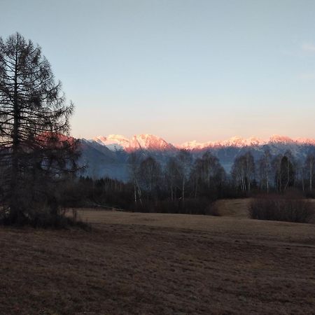 Al Salt Villa Belluno Eksteriør billede