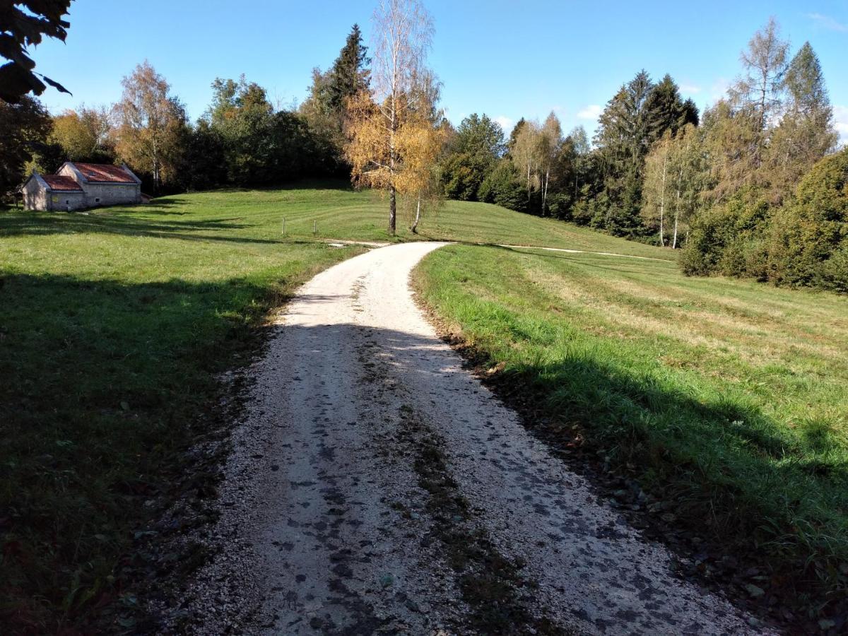 Al Salt Villa Belluno Eksteriør billede