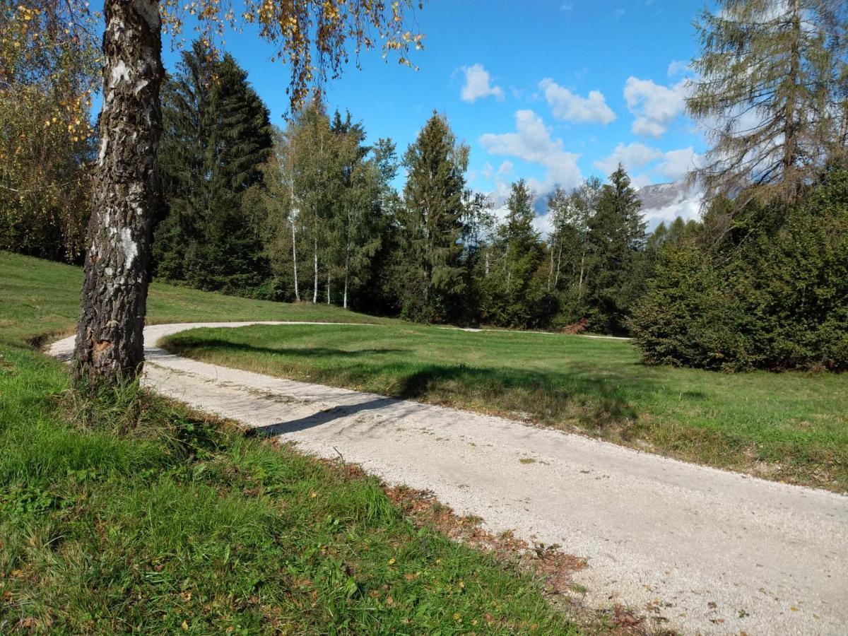 Al Salt Villa Belluno Eksteriør billede